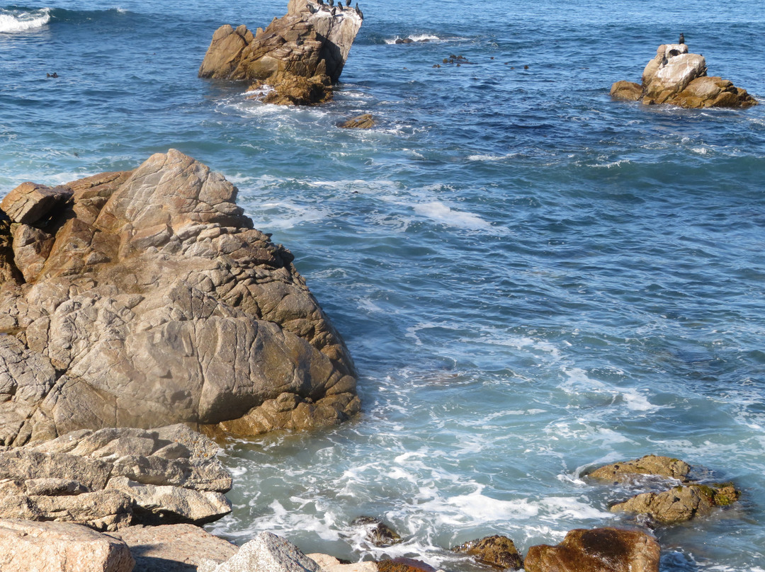 Restless Sea-圆石滩必去景点