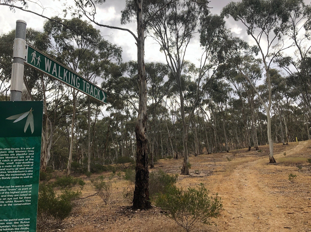 Hard Hill Tourist Reserve-Wedderburn必去景点