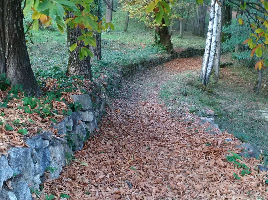 Oasi Zegna景点图片