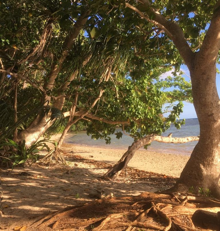 Lifou Island景点图片
