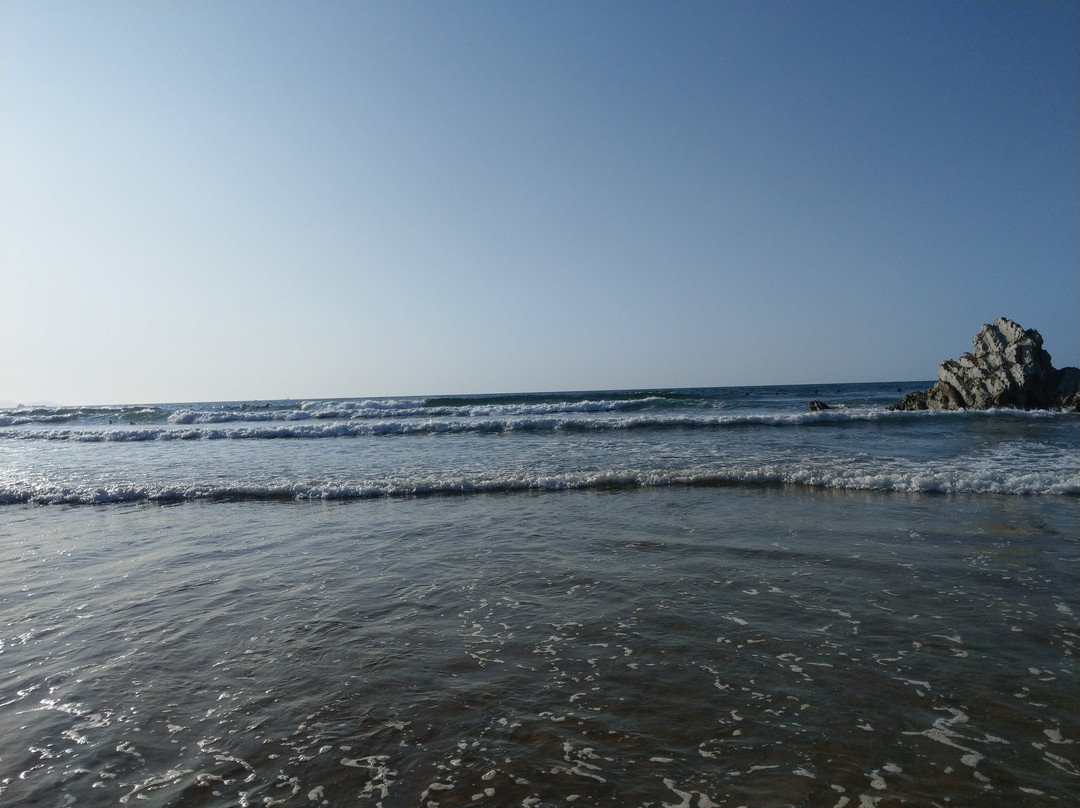 Hotel Modus Vivendi主图