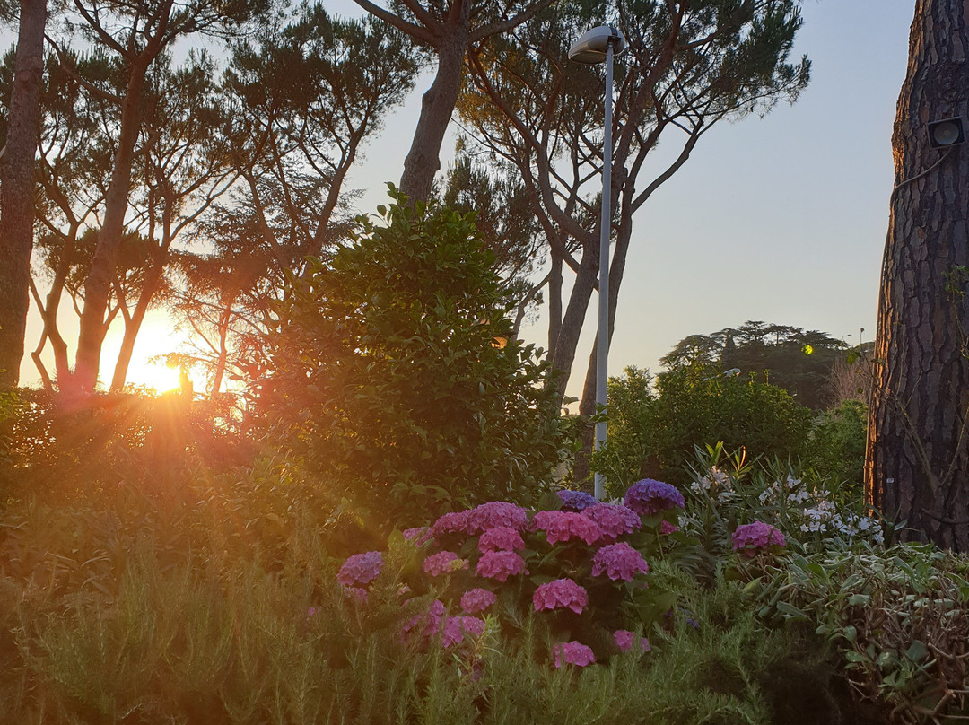 La Locanda dei Ciocca主图