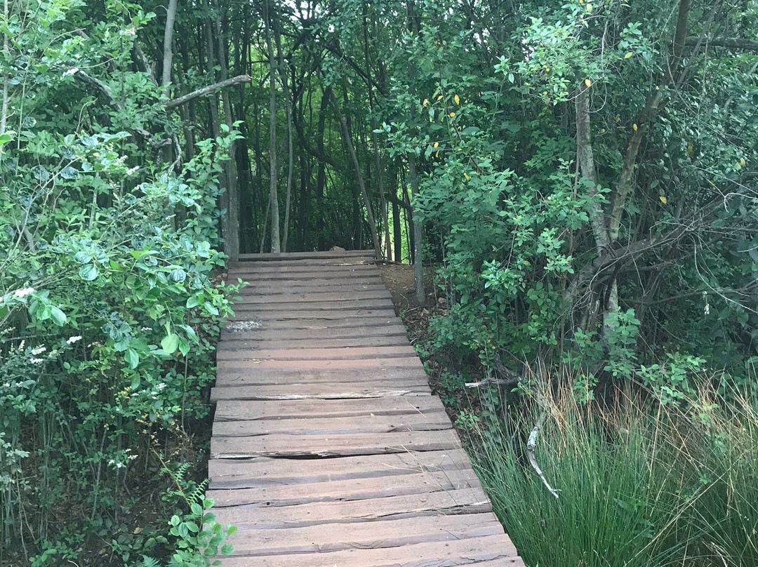 Kloofendal Nature Reserve景点图片