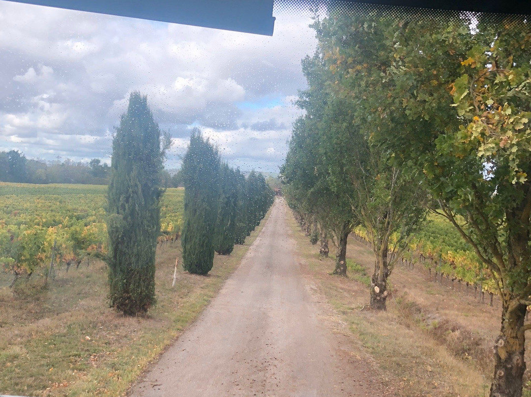 Domaine D'en Segur-Lavaur必去景点