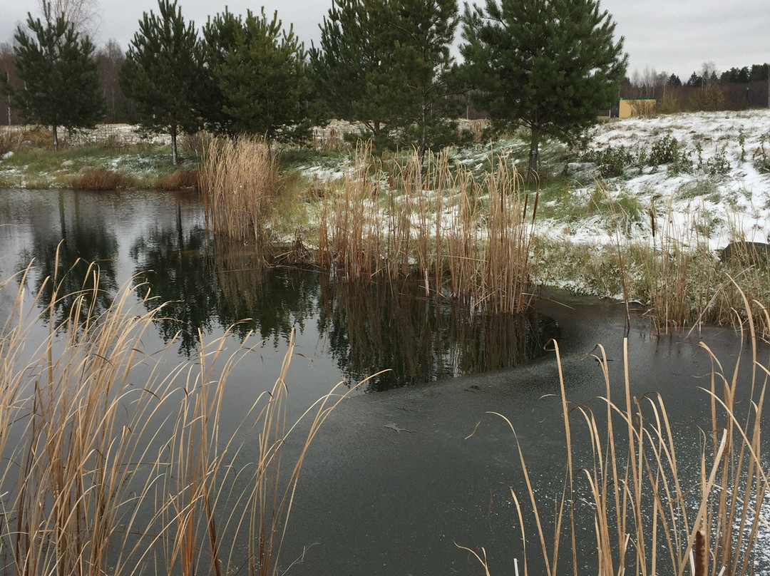 Radisson Resort, Zavidovo主图