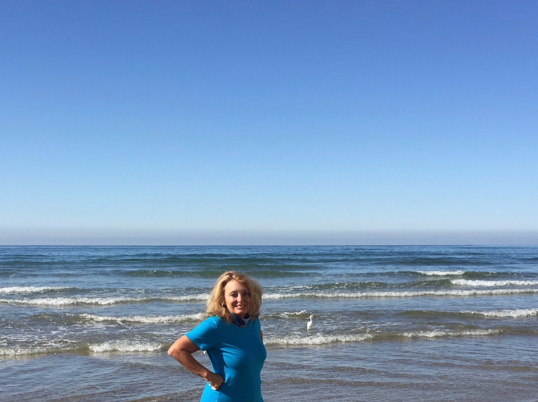 Pismo State Beach景点图片