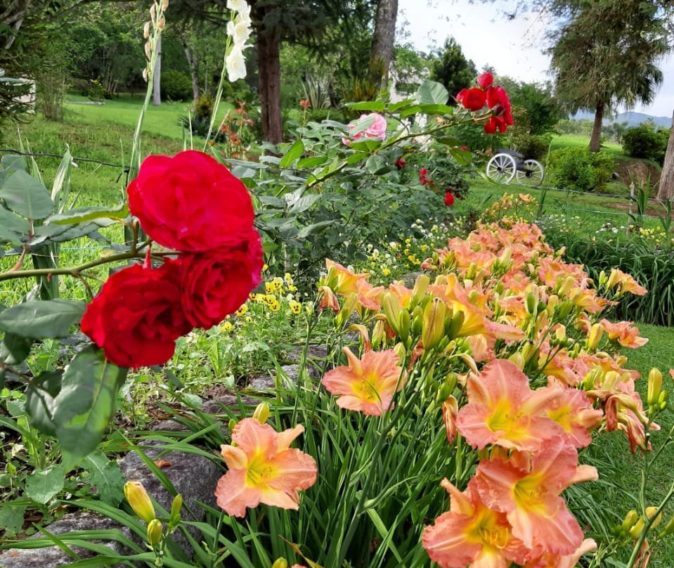 Blumengarten Haus Restaurante e Hospedagem主图