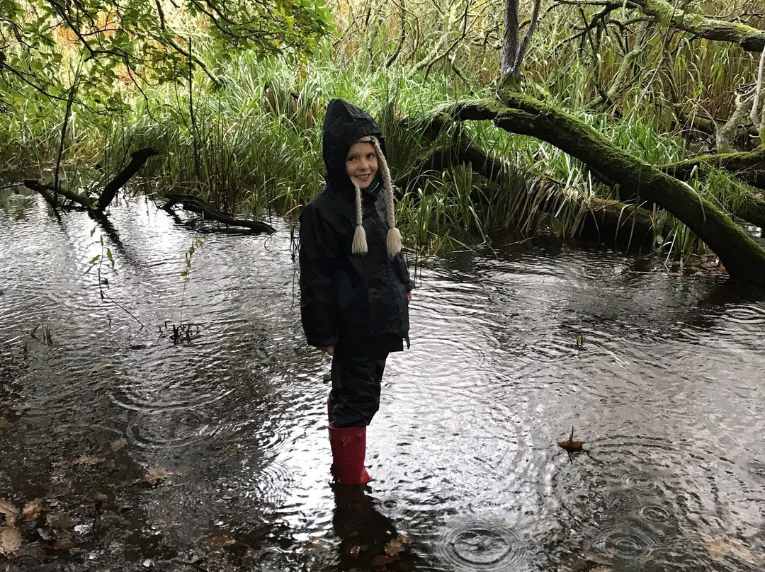 Slapton Ley Nature Reserve-Slapton必去景点