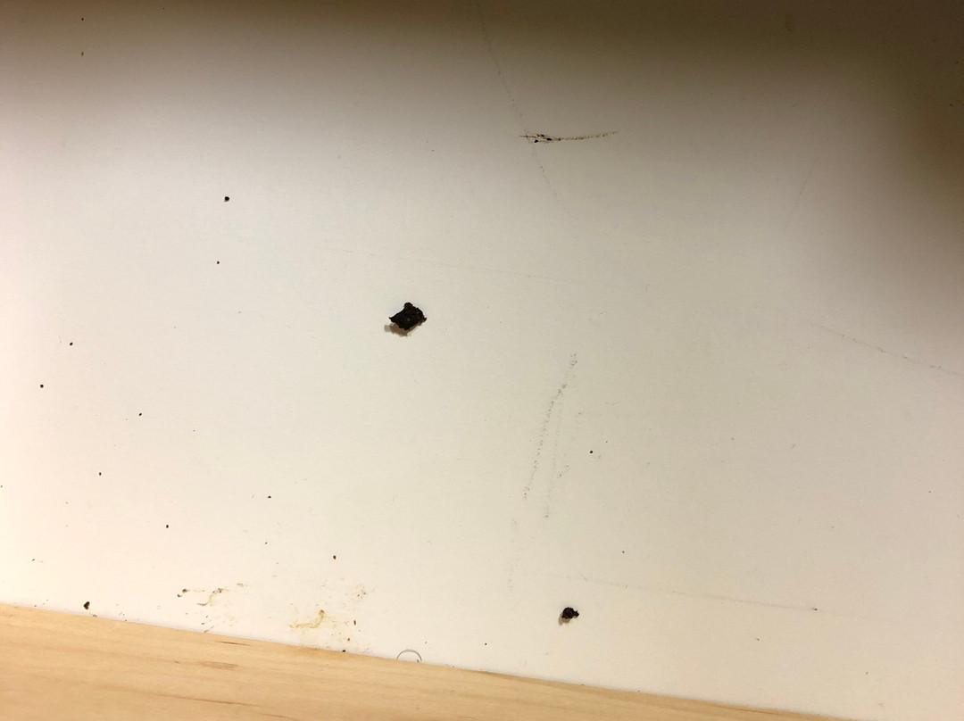 Clarion Pointe Kimball主图