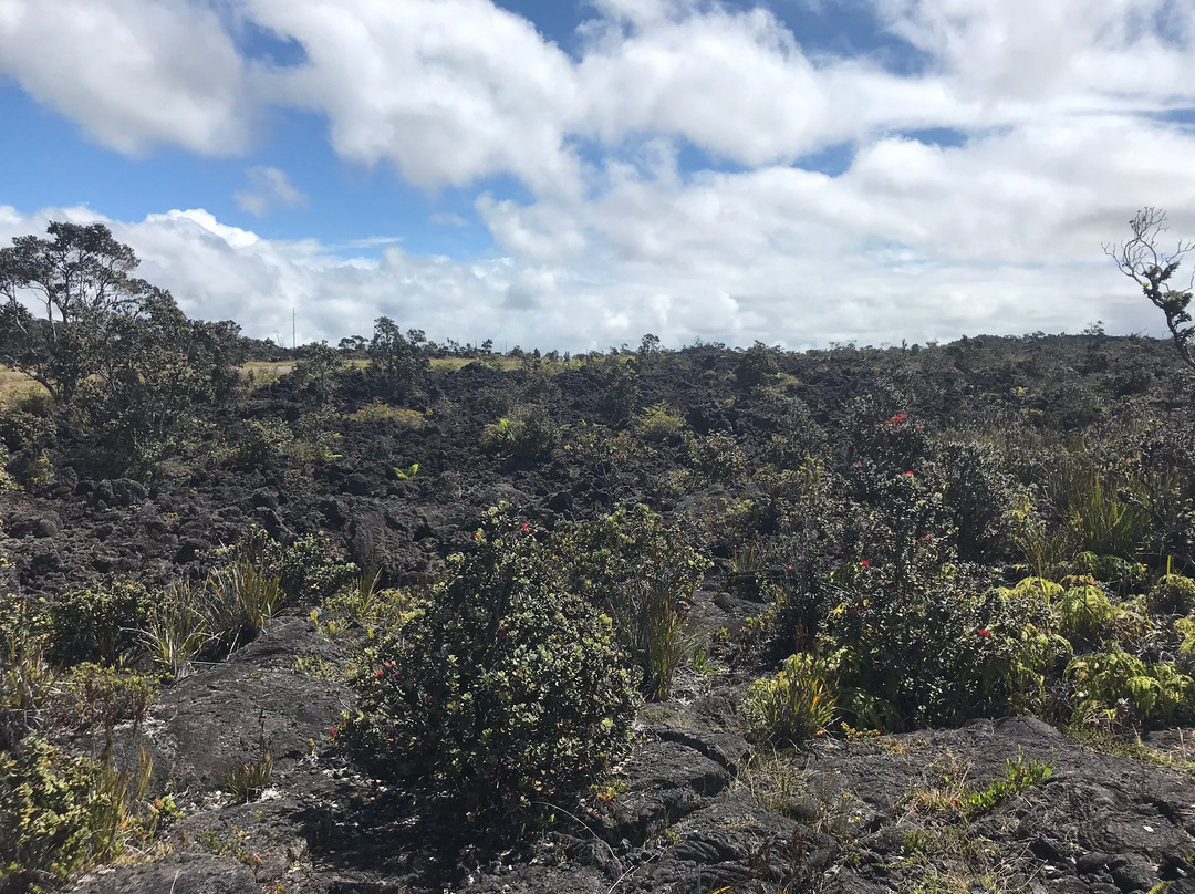 Pu'u Huluhulu trail-夏威夷火山国家公园必去景点