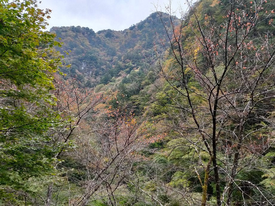 Nakatsu River-秩父市必去景点