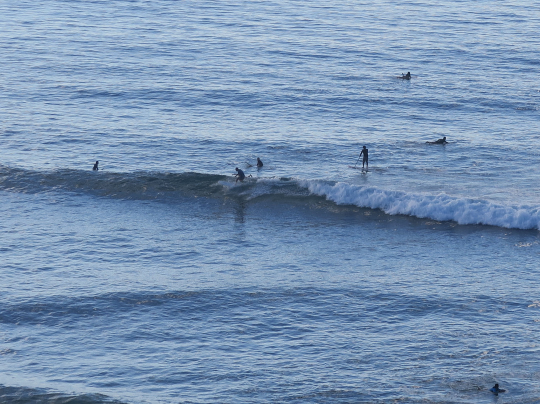 Aloha Trikke-火奴鲁鲁必去景点