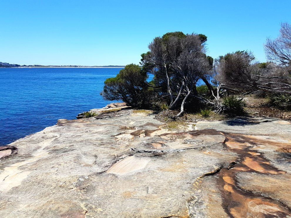 Dharawal Aboriginal Engravings Site-Royal National Park必去景点