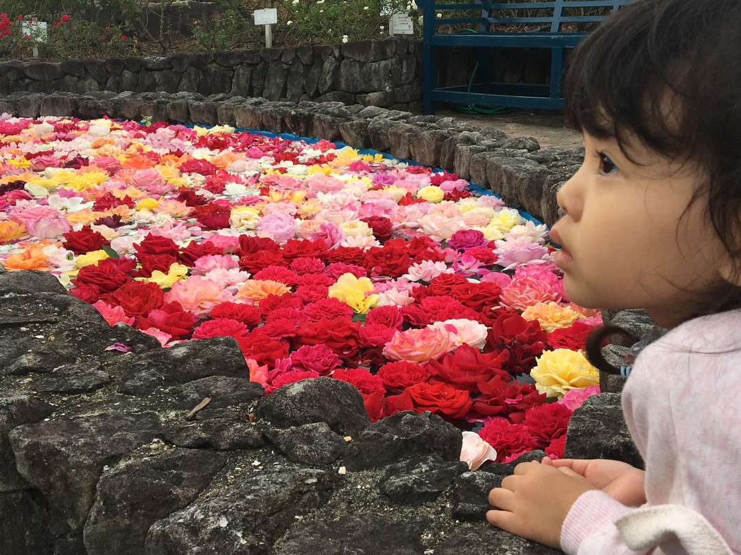 Eco Park Minamata-水俣市必去景点