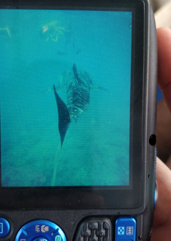 Arriva-马累必去景点