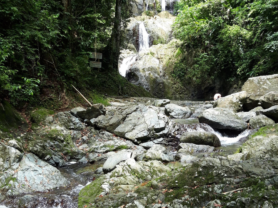 Birdman Tobago Tours-Roxborough必去景点