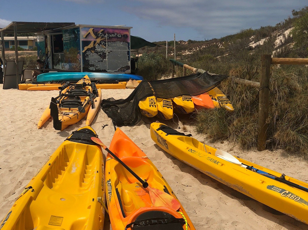 Ningaloo Kayak Adventures-珊瑚湾必去景点