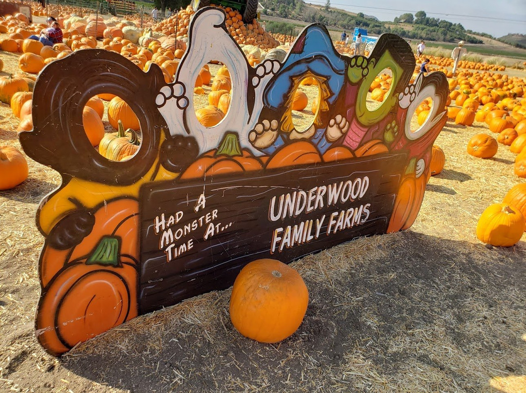 Underwood Family Farms - Moorpark-Moorpark必去景点