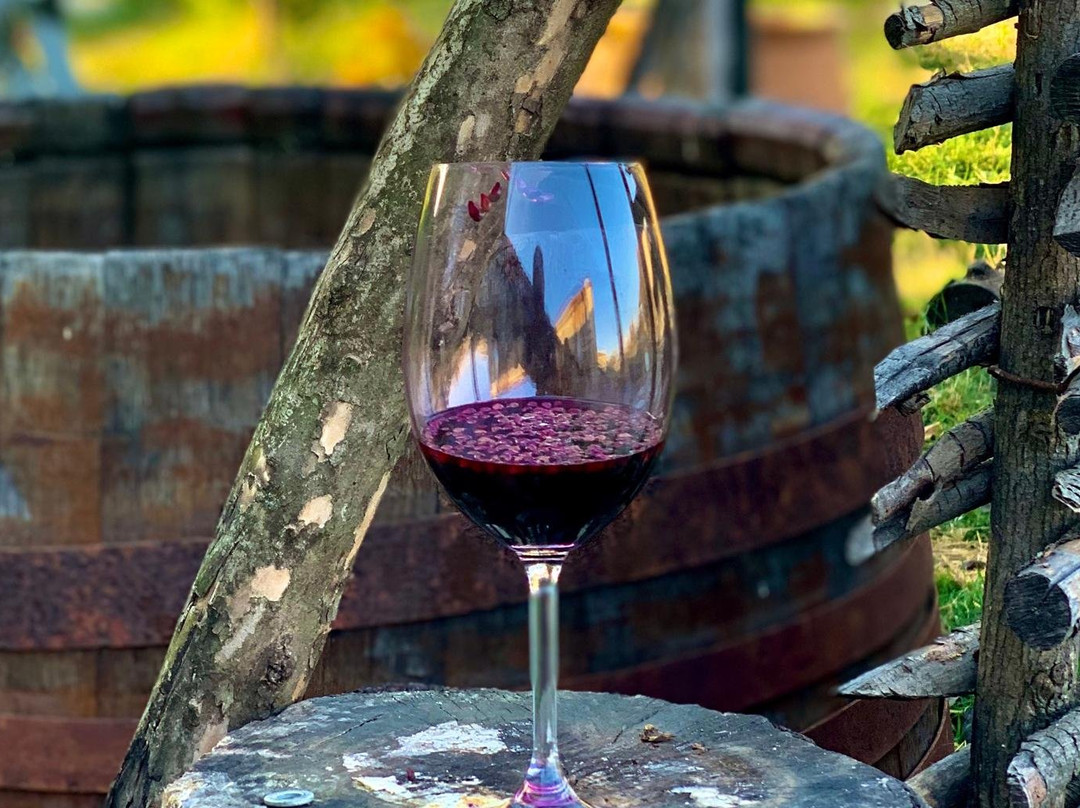 Find Out Georgia-第比利斯必去景点