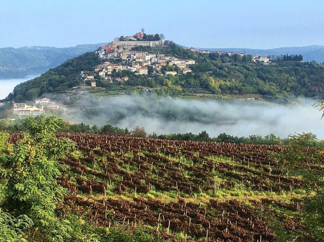 Istria Wine Tours-罗维尼必去景点
