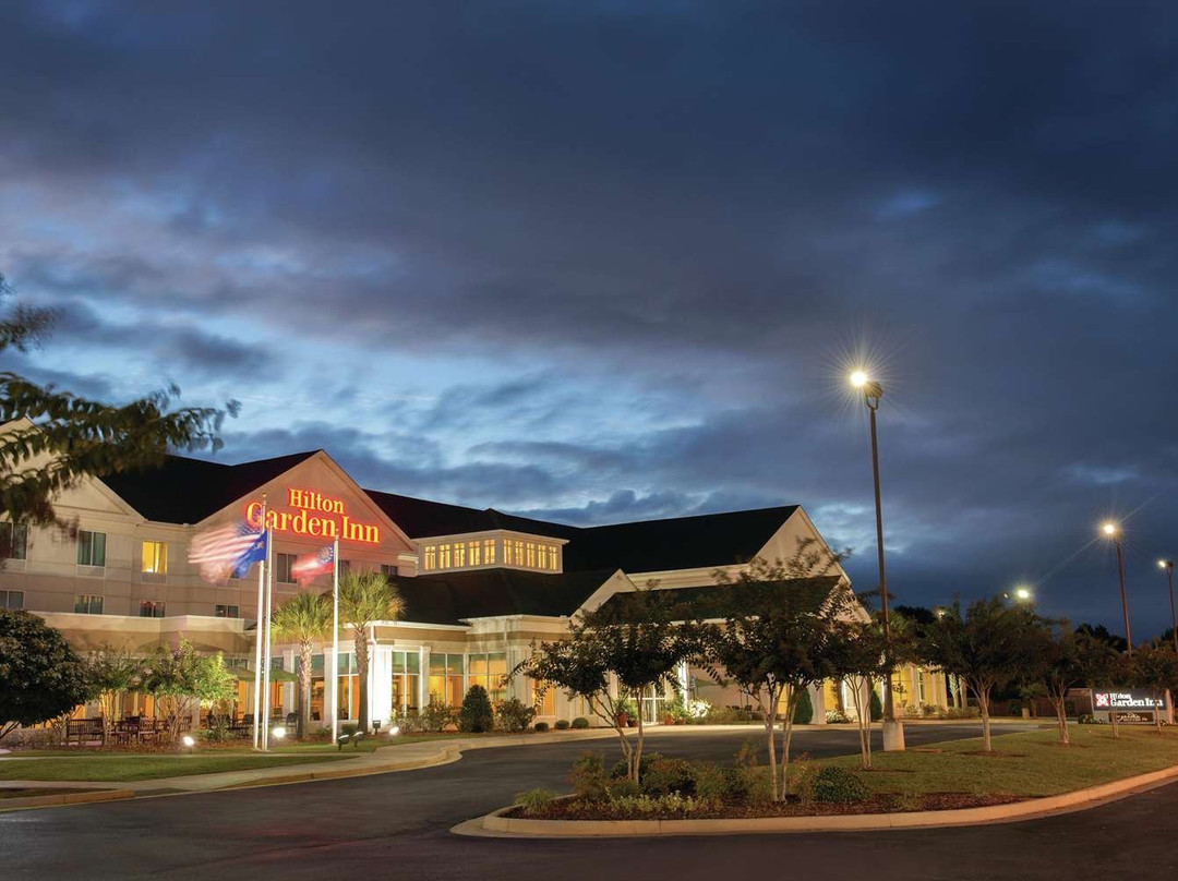 Hilton Garden Inn Warner Robins主图