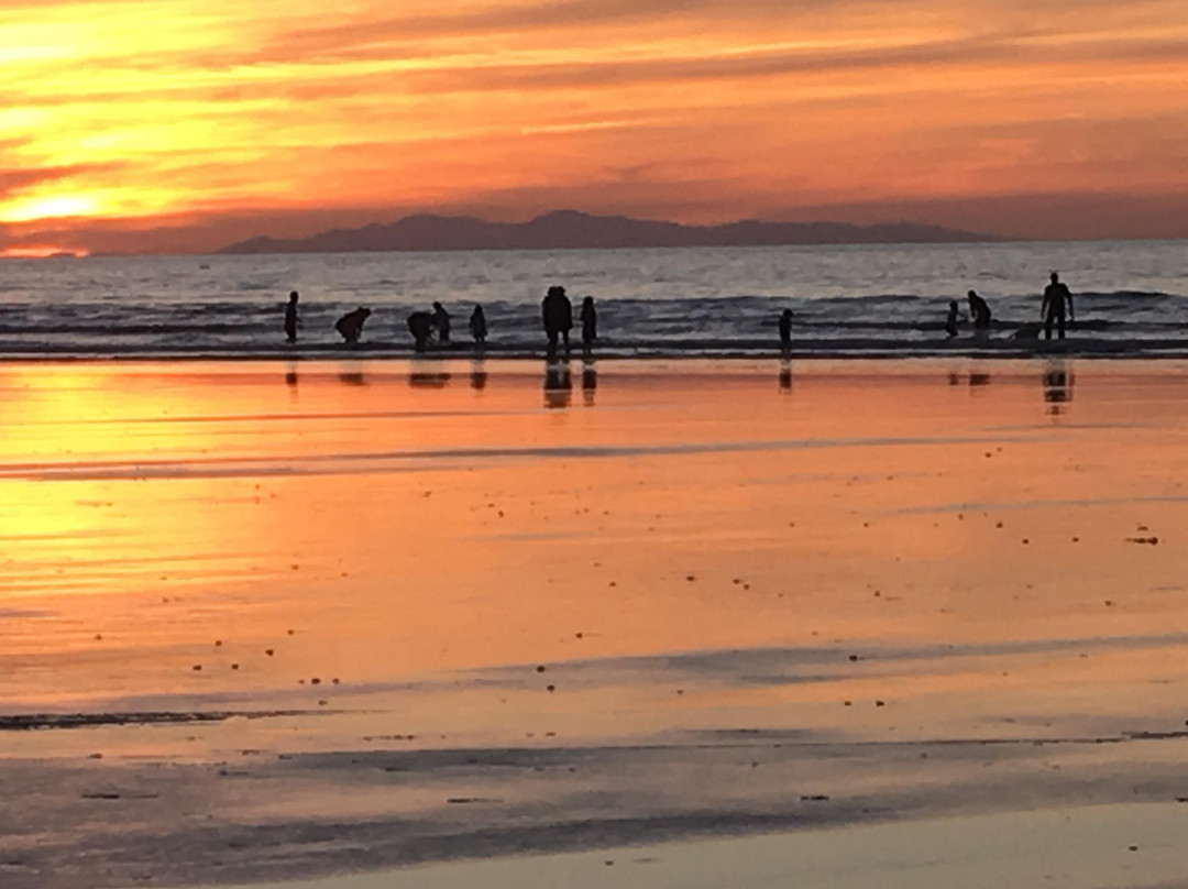 Kosher tours and travel-惠灵顿必去景点