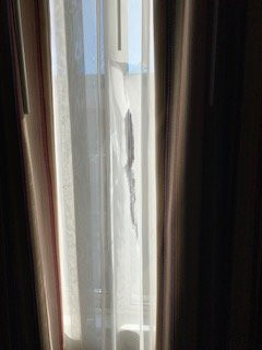 Bangor Grande Hotel & Conference Center主图