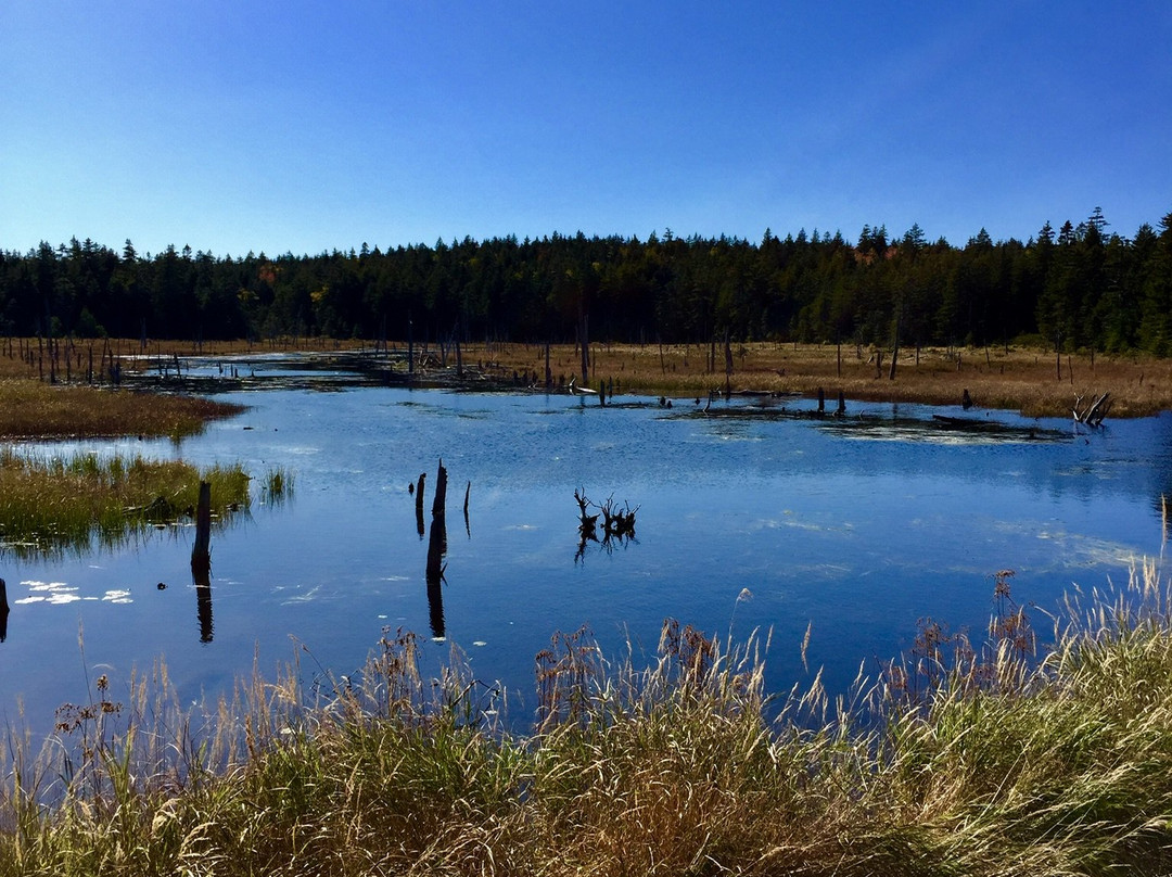 Fundy National Park景点图片