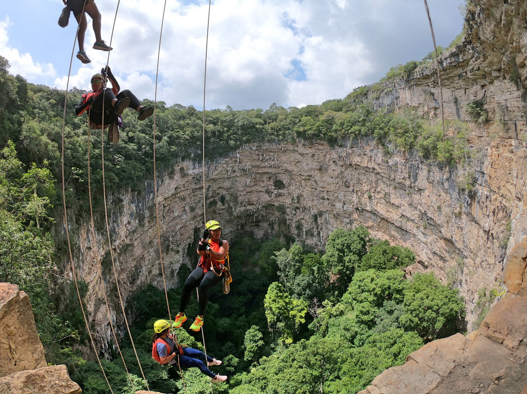 Jungla Experience-Villahermosa必去景点