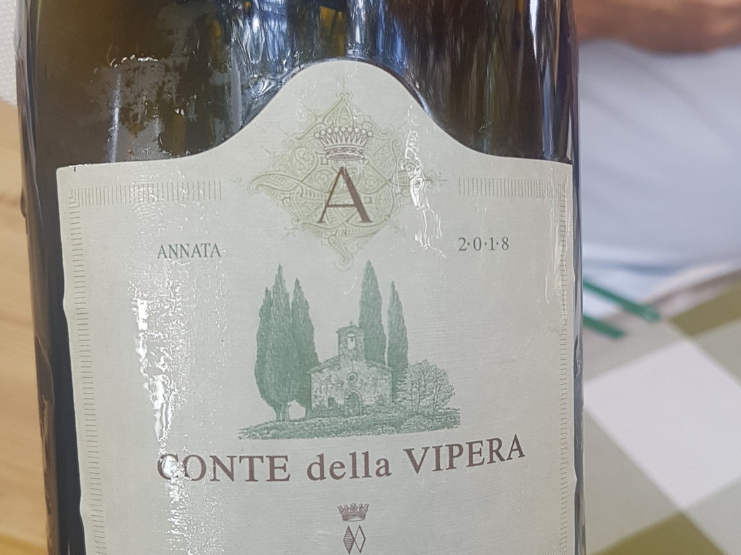 Cantina Antinori景点图片
