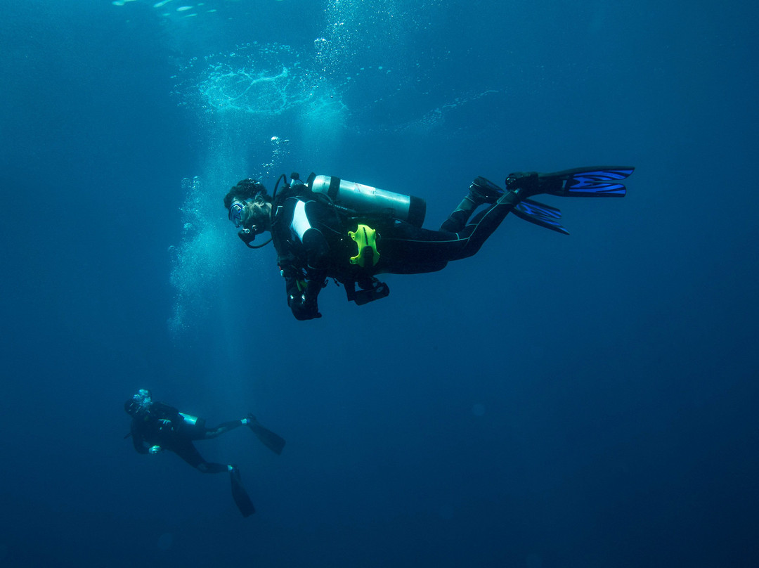 Alghais Diving-多哈必去景点