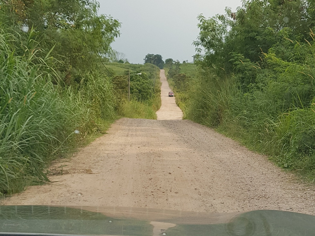 UK Farm Agro Resort主图