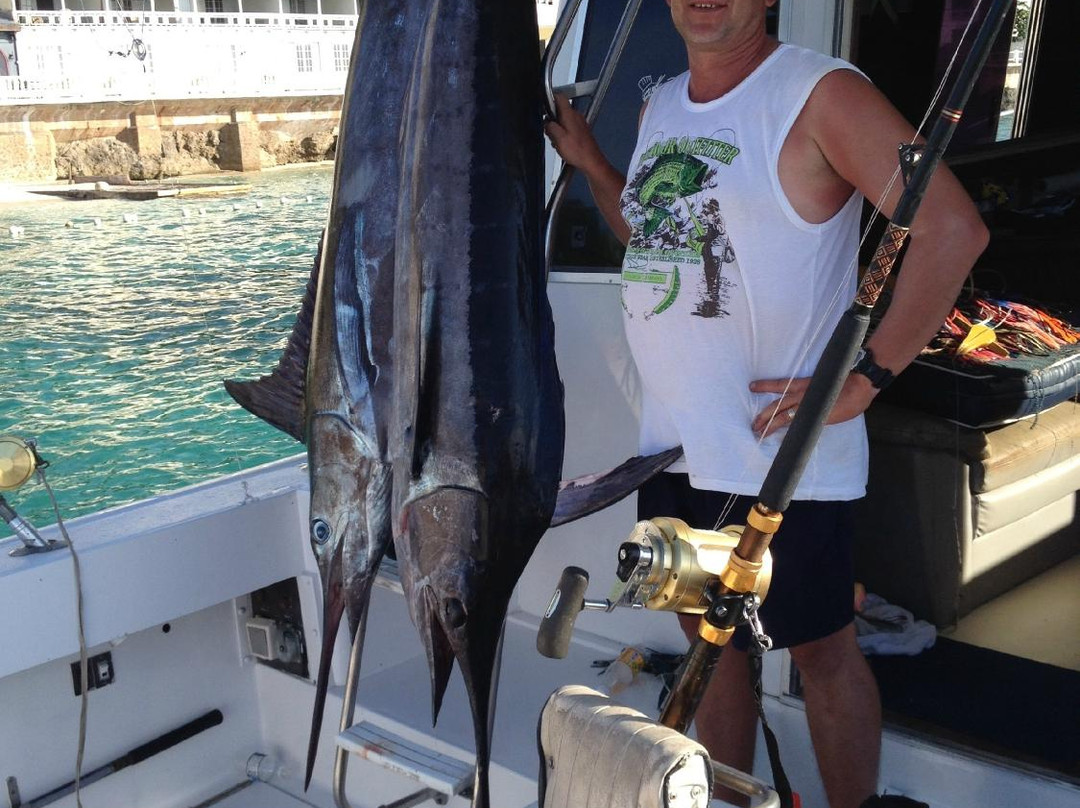 Marlin Madness-蒙特戈贝必去景点