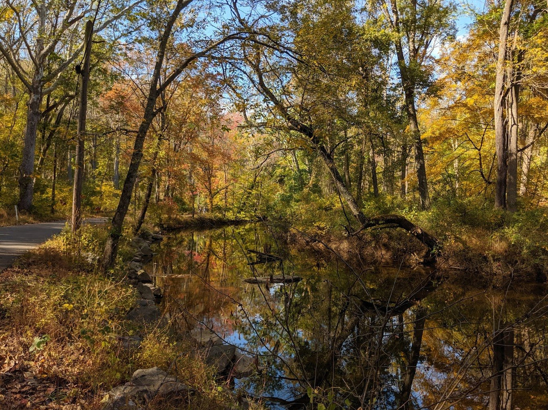 Ridley Creek State Park-梅迪亚必去景点