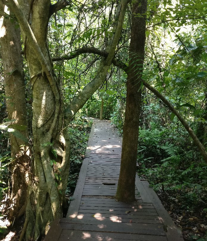 Phu Sang National Park景点图片
