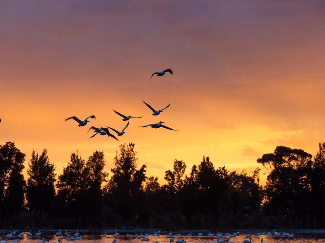 Bosque de San Juan de Aragon-墨西哥城必去景点