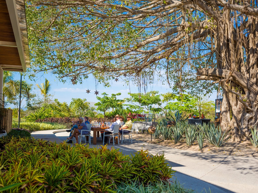 Tequila Tour Vidanta-新瓦雅塔必去景点