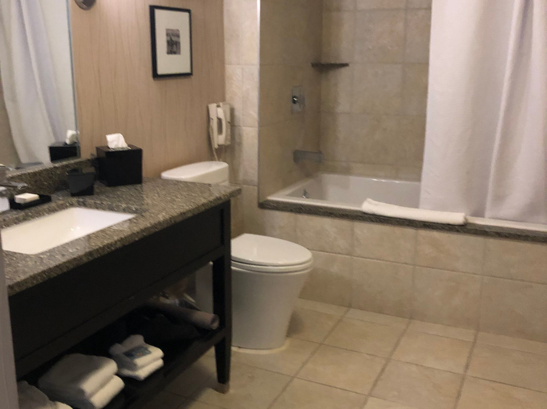 voco The Tiger Hotel Columbia by IHG主图