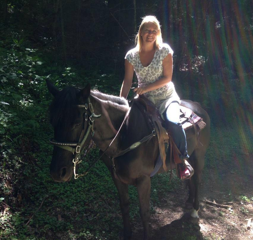 Valle Crucis Farm Horseback Rides景点图片