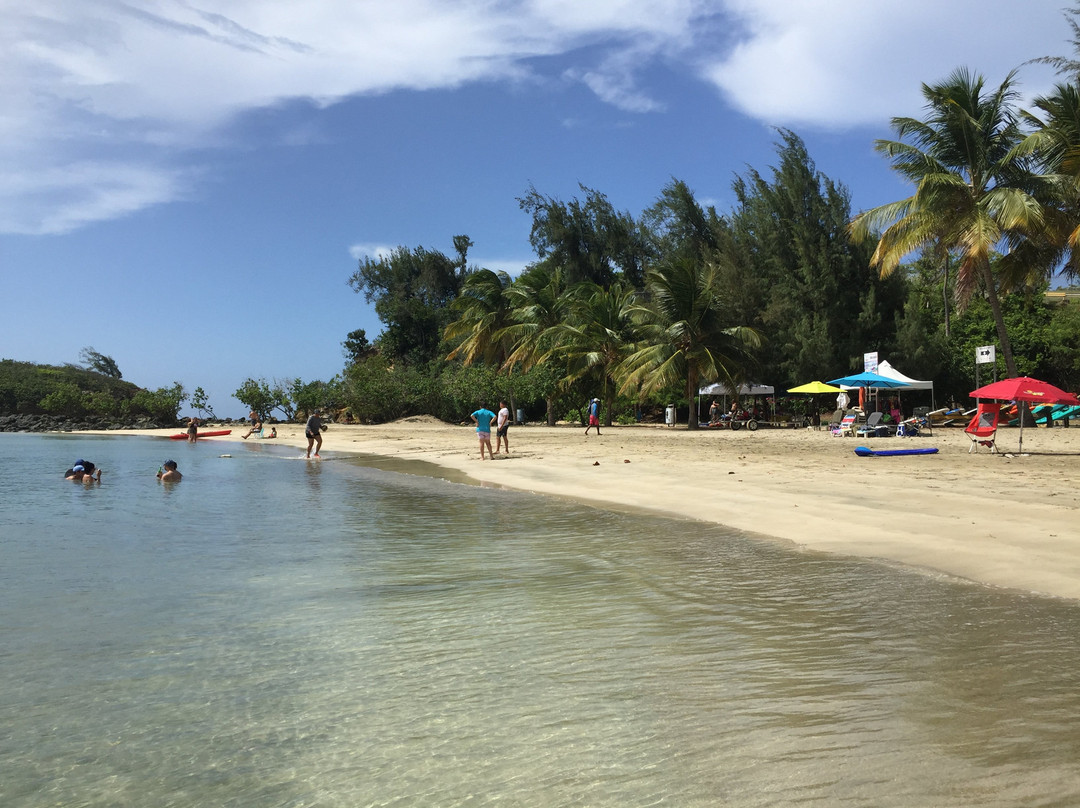 Balneario Punta Salinas-Toa Baja必去景点