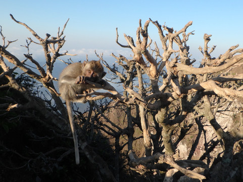 Bali Morning Trekking Tour-登巴萨必去景点