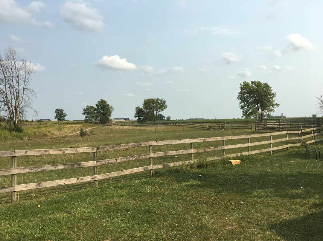 Kirklin旅游景点-Blackhawk Winery and Vineyard