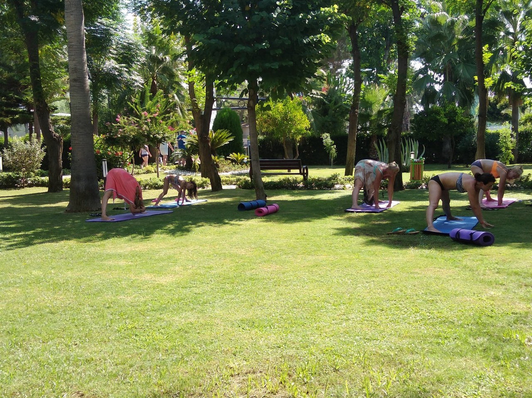 Fame Residence Goynuk主图