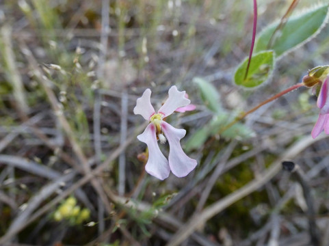 Hidden Hollow-Narembeen必去景点