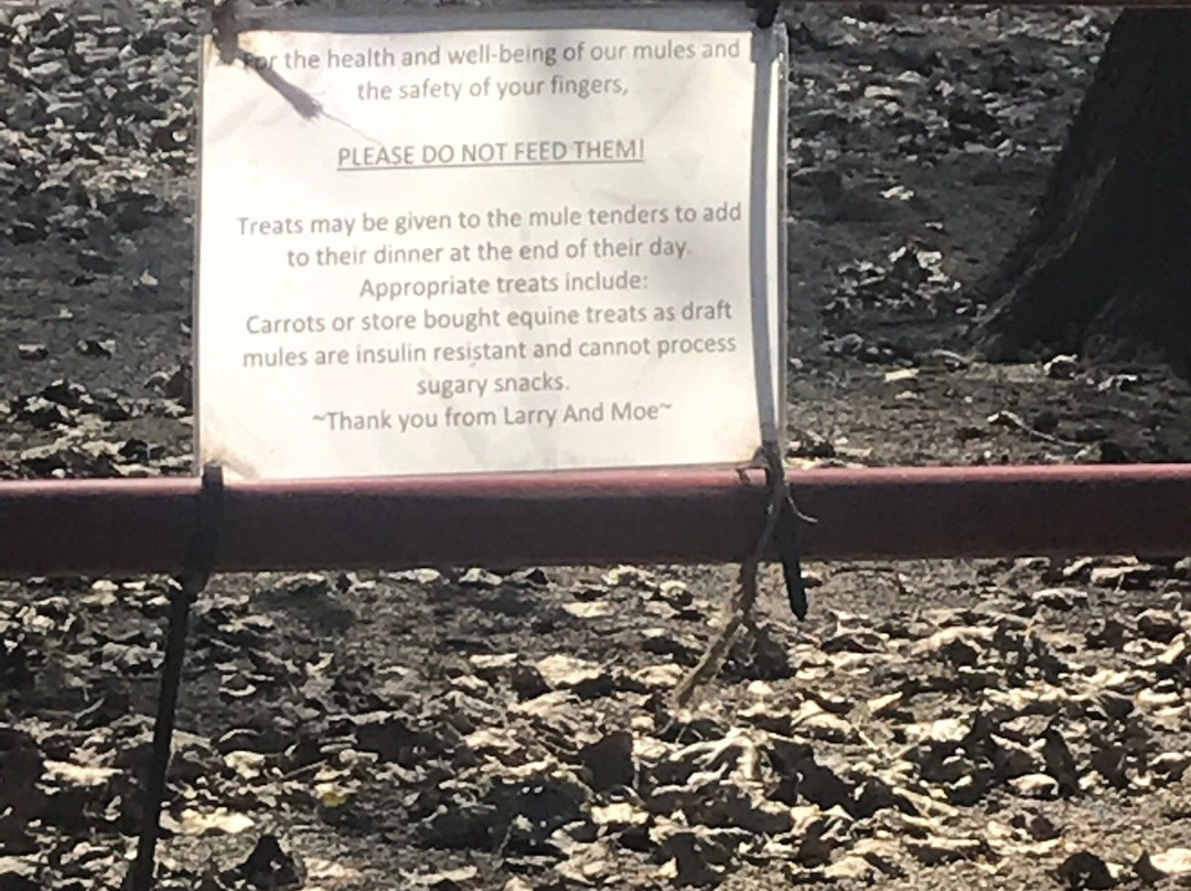 Illinois & Michigan Canal State Trail-LaSalle必去景点