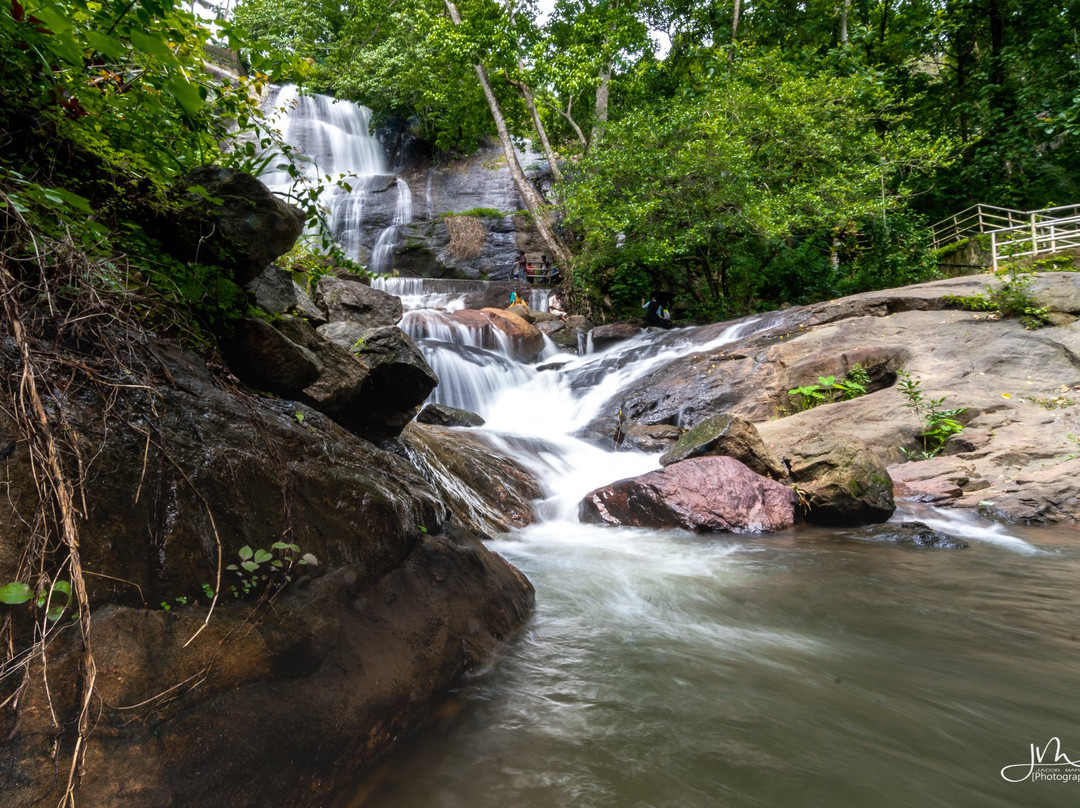 Areeckal Waterfalls景点图片