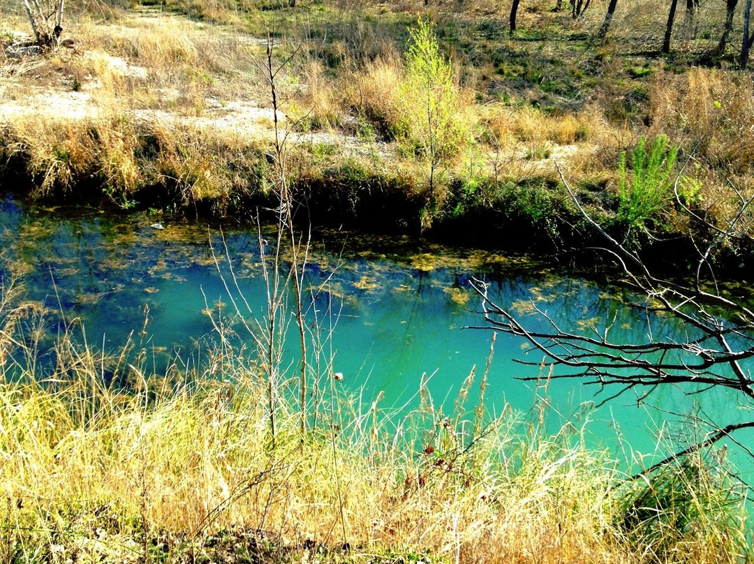 Chalk Bluff Park-Paddle Boat Rentals