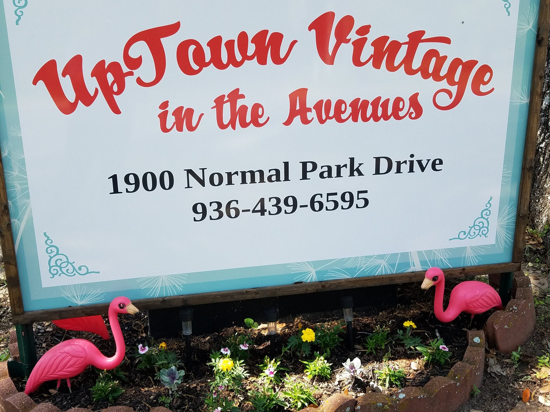 Uptown Vintage in the Avenues