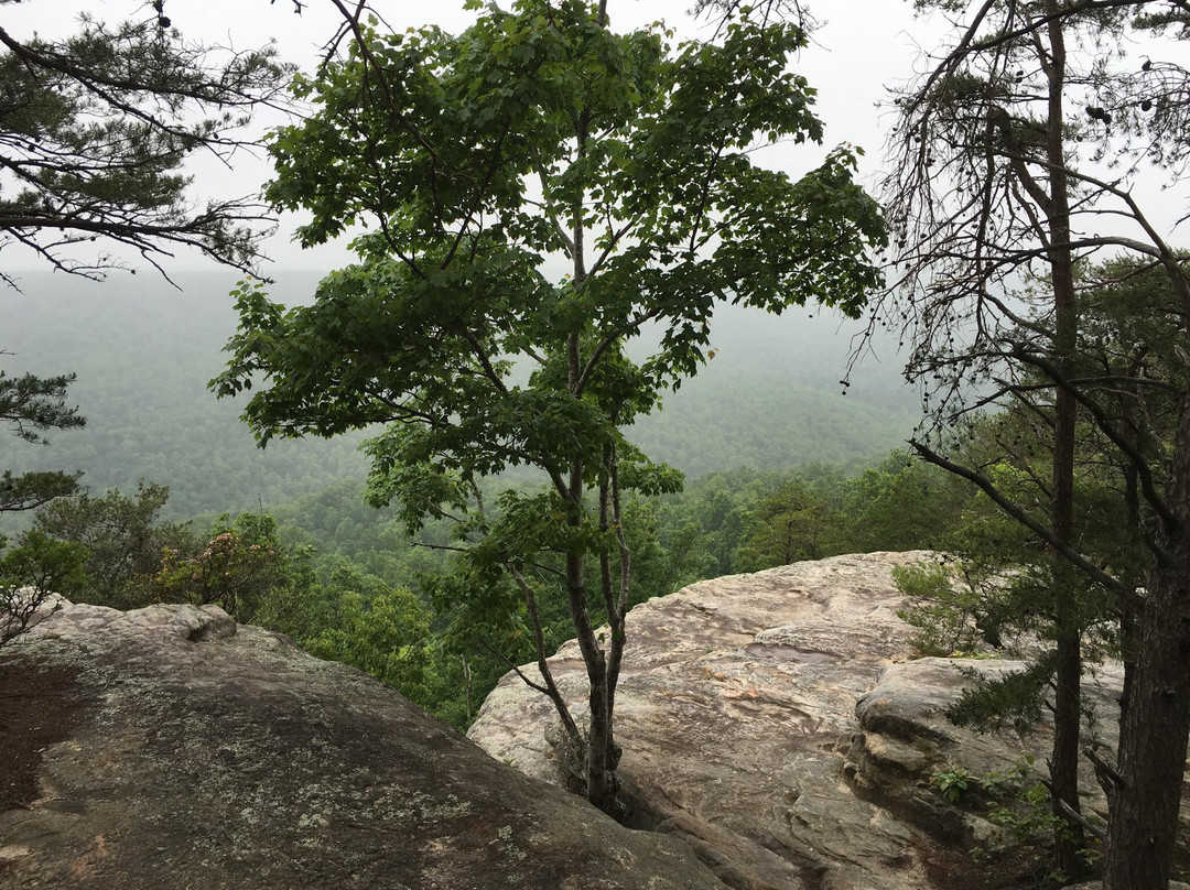 Bee Rock Overlook景点图片