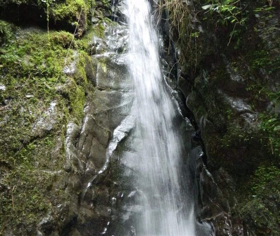 Sendero Ecologico Las Brumas景点图片